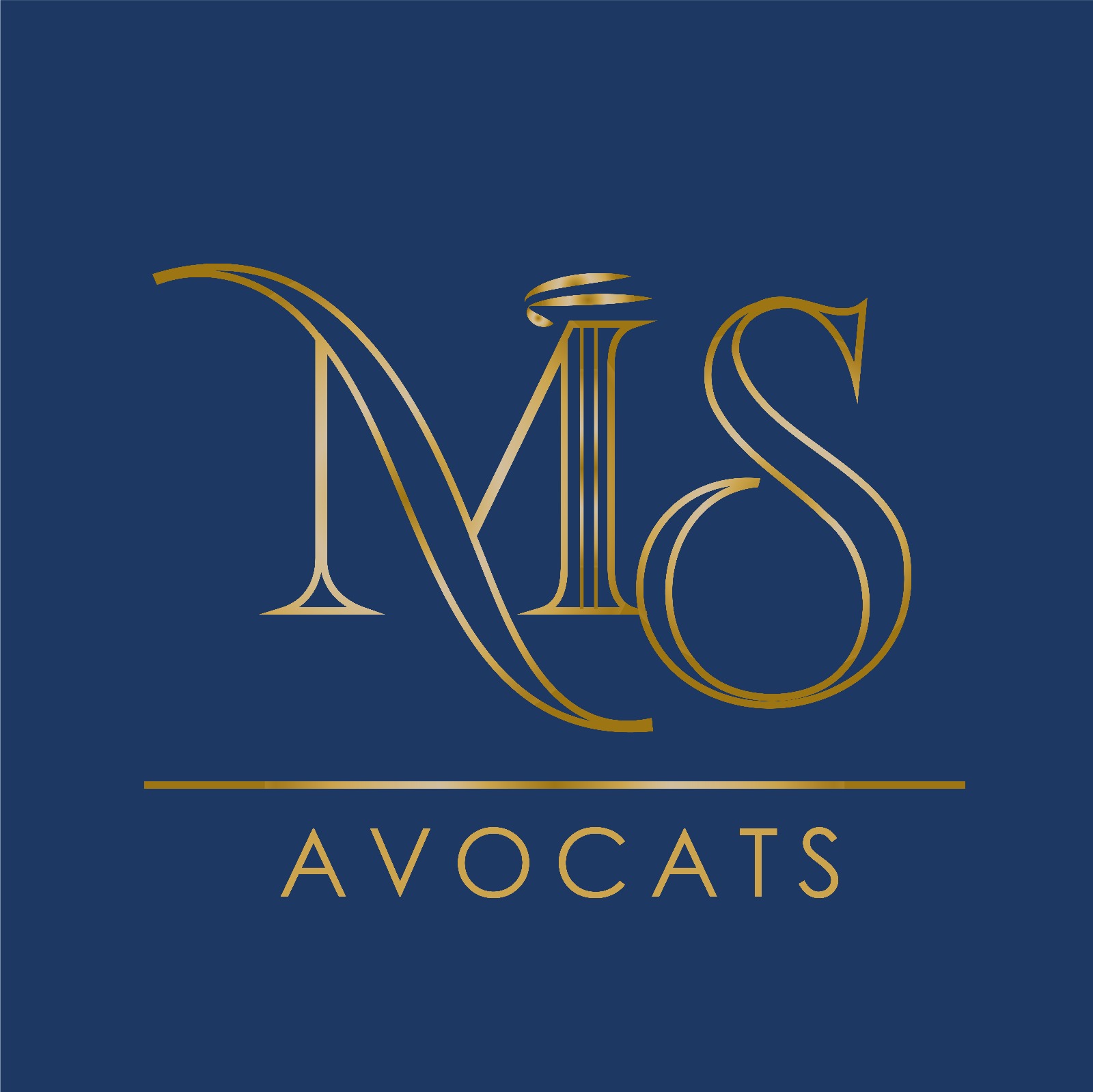 MS Avocats – Cabinet d’Avocat Fiscaliste à Lyon